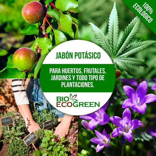 Jabón Potásico ( 1 Litro ) + Aceite de Neem ( 90 ml )