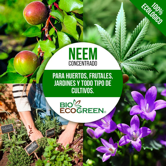 Aceite De Neem Concentrado, Prensado En Frio Soluble. (90cc)